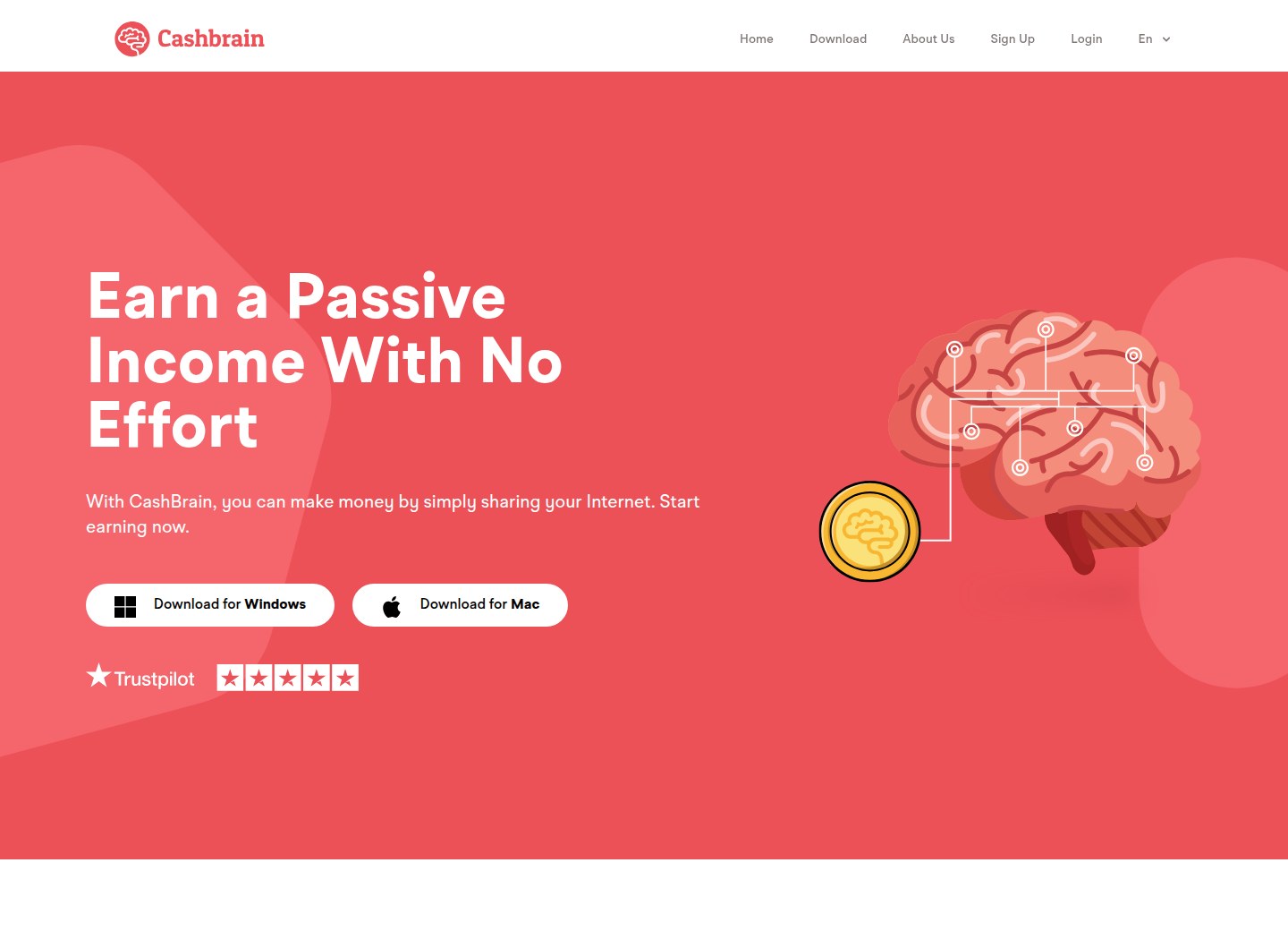 CashBrain public website homepage