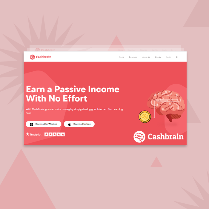 CashBrain Earnings Platform